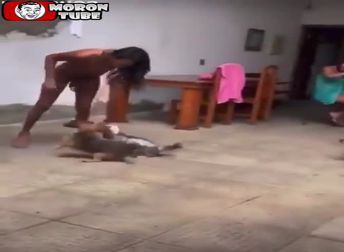 Video :This trans has the incorrect instinct after being attacked by dogs!